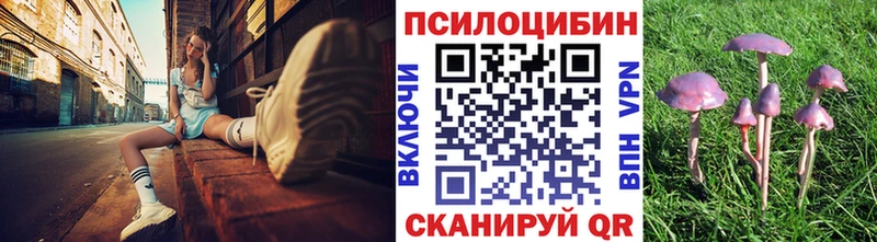 OMG как войти  Шадринск  Псилоцибиновые грибы прущие грибы 
